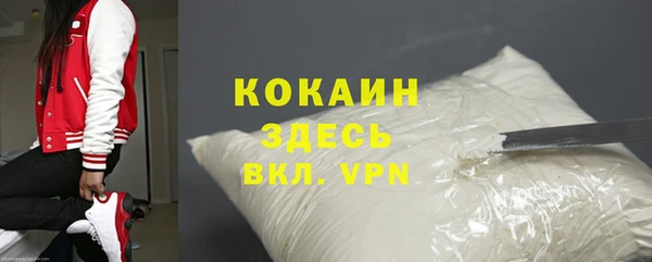 твердый Богданович