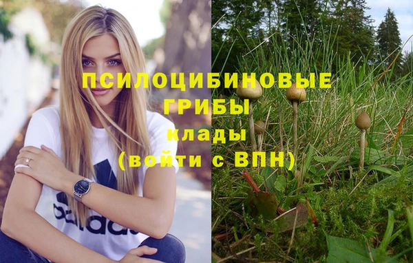 jwh Богородицк
