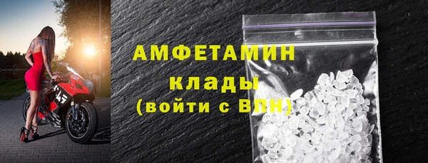 твердый Богданович