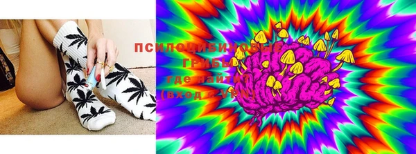 jwh Богородицк