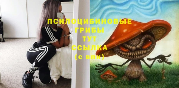 твердый Богданович