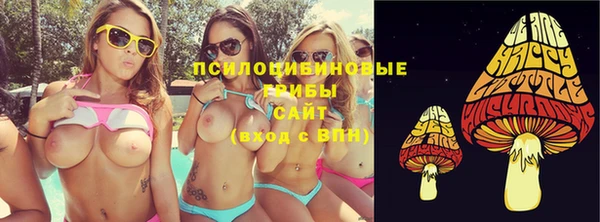 твердый Богданович