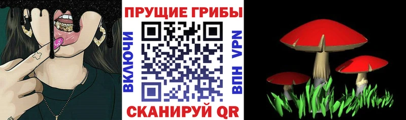 Псилоцибиновые грибы прущие грибы MEGA онион Прокопьевск